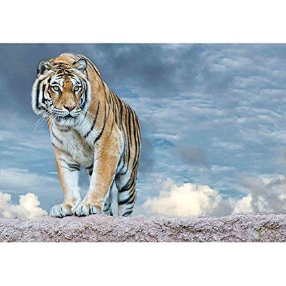 wall26 - Siberian Tiger Ready to Attack Looking at You in The Rocks Background - Removable Wall Mural | Self-Adhesive Large Wallpaper - 66x96 inches - color: Artwork - 13, size: 66"x96"