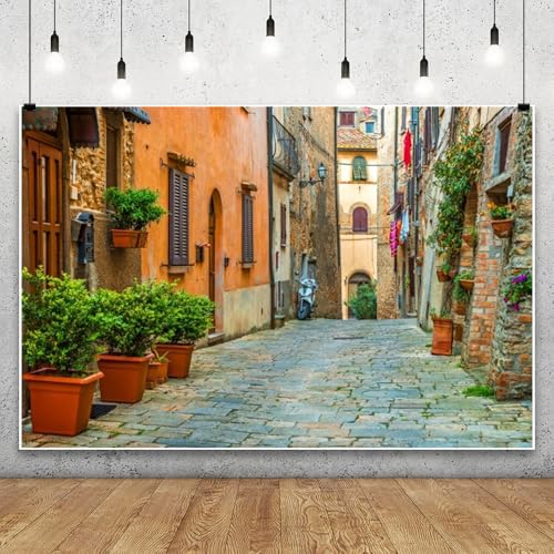 Laeacco 12x8ft Italy Old Town Small Narrow Alley Street Landscape Backdrop European Building Green Vine Italian Style Backdrop Travel Theme Birthday Party Photo Studio Prop Festival Room Decoration - size: 12x8ft