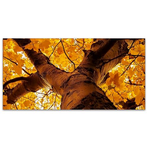Fluorescent Light Covers for Classroom Ceiling Lights – 2x4ft Backlit Film for Fluorescent Fixtures, Reduce Glare and Eye Strain, Easy to Install – School, Office, Sensory -Tenacious Tree - color: Tenacious Tree（1）