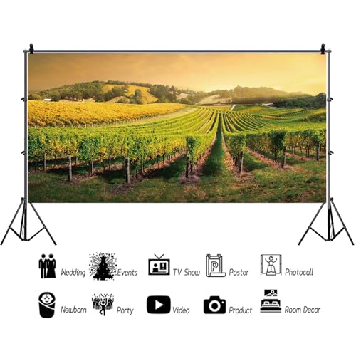 15x10ft Purple Cirrus Pathway Photography Backdrop - Wedding Ceremony & Anniversary Honeymoon Birthday - Children & Adults Photo Studio Vinyl Props - size: 15x10ft