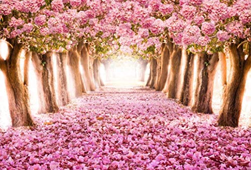 AOFOTO 10x7ft Spring Cherry Blossom Backdrop Sweet Pink Flowers Tree Floral Petal Boulevard Photography Background Wedding Photo Studio Props Girl Bride Woman Lady Mother Artistic Portrait Wallpaper - size: 10x7ft