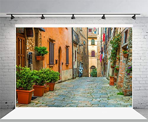 Laeacco 10x6.5ft Italy Old Town Small Narrow Alley Street Landscape Backdrop European Building Green Vine Italian Style Backdrop Travel Theme Birthday Party Photo Studio Prop Festival Room Decoration - size: 10x6.5ft