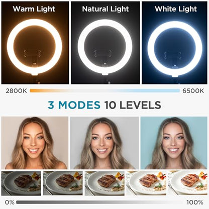 InnoGear Overhead Phone Mount with Ring Light, 10" LED Selfie Ring Light for Desk with Phone Holder and Remote Canvas Lamp Light for YouTube Live Stream Cooking Video Recording Vlog Zoom, Medium