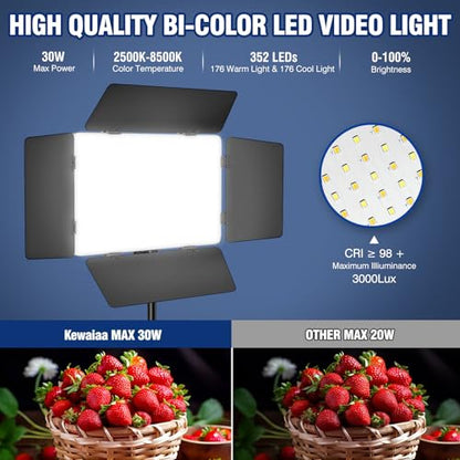 2 Pack LED Video Light Kit with Barn Door, Kewaiaa 30W Photography Light Panel with Stand, 3000Lux 2500K-8500K Dimmable Studio Lights for Video Recording/Filming/Photoshoot Shooting/Live Streaming - size: 2 Pack