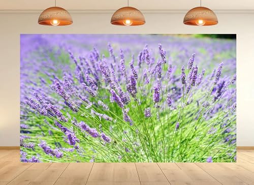 6x4ft Soft Lavender Blooms Close-up Backdrop Blurred Purple Field Photo Background Tapestry for Floral Branding Calm Home Decorations Studio Props - size: 6X4ft