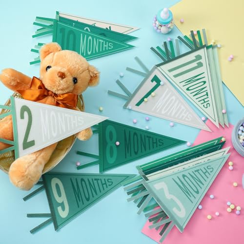 VitalCozy 14 Pcs Baby Milestone Pennant Signs Monthly Milestone Banner Flags Pennant Triangle Banner Age Flag Signs for Boy Girl Newborn Birthday Party Decor (Morandi) - color: Morandi