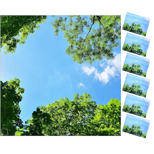 6 Pcs x 2 ft Fluorescent Light Covers with 48 Magnets for Fluorescent Light Shade Drop Ceiling Filters for Classroom Office Kitchen Decor(Sunny) - style: Sunny