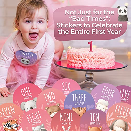 Hilarious Baby Girl Milestone Photo Prop 4 in Stickers. Cute Pink and Purple 30 Pack- 12 Months, 4 Good and 12 Funny Moments Plus 1 Blank Decal for Infant or Newborn Pictures. New Mom Baby Sticker Set
