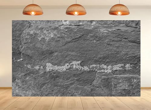 7x5ft Grayscale Stone Texture Backdrop Rough Surface and Mineral Deposits Photo Background Tapestry for Industrial and Rustic Home Decorations Studio Props - size: 7X5ft