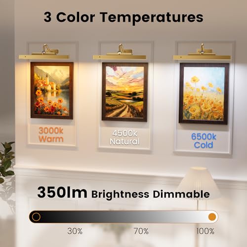Wireless Picture Lights 12'', 2 Pack 4400mAh Battery Poerered Cordless Wall Lights, 350LM Dimmable Remote Timer for Painting Artwork Living Room (Antique Gold) - color: Antique Gold, size: 12IN-2pack
