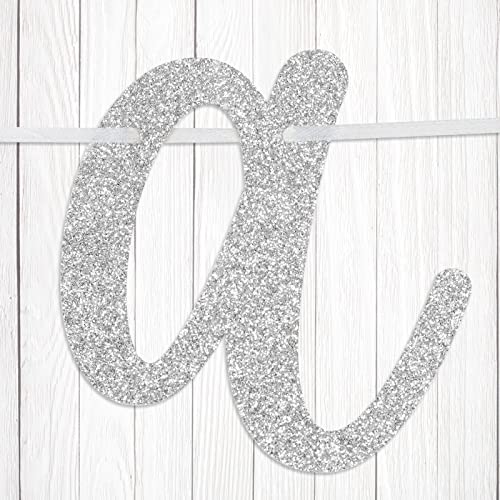 Go Shawty It's Your Birthday Banner, Hip Hop Birthday Party Decorations Supplies, Rap Theme Bday Bunting Sign, Pre-strung, Photo Props (Silver) - color: Silver