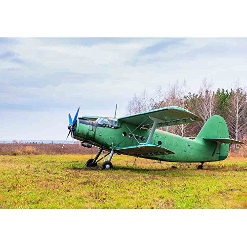 wall26 - Old Airplane on Field in Autumn Time - Removable Wall Mural | Self-Adhesive Large Wallpaper - 66x96 inches - color: Artwork - 11, size: 66"x96"