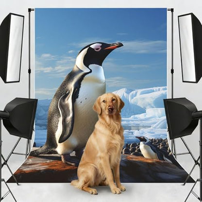 Penguin Print Backdrop Background for Photography 5x7ft Photobooth Professional Photo Backdrop Curtains Video Photography Studio Photo Backgrounds Banner Booth Background Screen Parties - color: Penguin Print