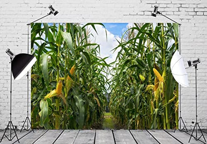 BELECO 12x8ft Green Cornfield Backdrop Fabric Rural Corn Fields Maize Photography Background Farmland Crops Fall Harvest Theme Party Decor Backdrop Coutryside Farm Agriculture Scenery Photo Props - size: 12x8FT