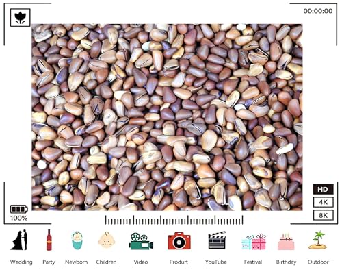 Trykid 10x6.5ft Pine Nuts Nutty Texture Background Backdrop Brown Nutty Seed Closeup Photography Background Food Cooking Kitchen Party Decoration Tapestry Photo Booth Prop Fabric Backdrop - size: 10x6.5ft