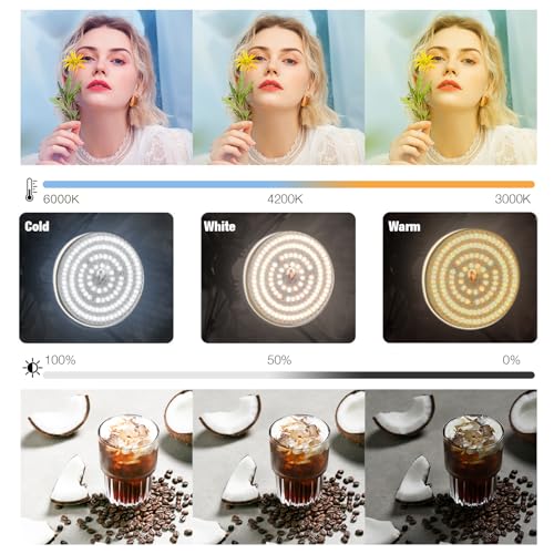 BEIYANG Softbox Lighting Kit, 2x20''x28'' Photography Soft Box with 2 pcs 85W 6000K E27 LED Socket LED Bulbs, Studio Lights for Photography/Video Recording/Live Streaming