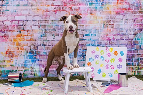 Fabric 8x6ft Brick Backdrop Photography Color Paint Graffiti Wall Disco Brickwork for Baby Shower Birthday Party Graduation Prom Office Background Decor Adult Kid Portrait Photoshoot Prop - size: 8x6FT