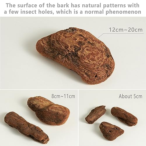 Product Photography Props for Photoshoot: 6PCS Natural Forest Wood Photo Props- Small Items Wood Picture Prop for Jewelry Cosmetics Perfume Soap - color: Brown Black