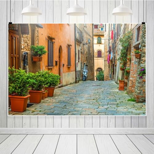 Laeacco 10x8ft Italy Old Town Small Narrow Alley Street Landscape Backdrop European Building Green Vine Italian Style Backdrop Travel Theme Birthday Party Photo Studio Prop Festival Room Decoration - size: 10x8ft