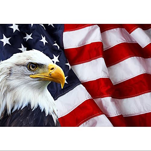 6x4ft American Flag Bald Eagle Backdrop Stars and Stripes US Flag Background for Memorial Day, 4th of July, Independence Day, Labor Day, Veterans, Patriotic Party, Retirement Party Decors - color: Flag02, size: 6x4ft