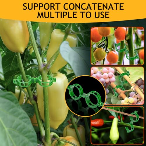 200Pcs Secured Plant Support Clips - Tomato Clips for String Trellis, Grape Vine Grid Clamp for Garden Netting Climbing Plants, Fixing Stem and Vine (Green) - color: 200pcs Green