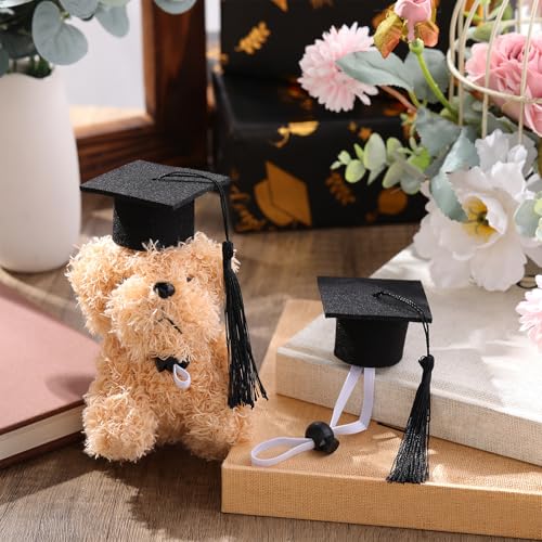 Eccliy 2 Pcs Pet Graduation Caps Mini Bachelor Hats with Tassel for Small Animal Guinea Pigs Hedgehog Bird Turtles Hamster Photo Props Graduation Holiday Festival Party Accessory(Black) - color: Black
