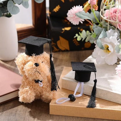 Eccliy 2 Pcs Pet Graduation Caps Mini Bachelor Hats with Tassel for Small Animal Guinea Pigs Hedgehog Bird Turtles Hamster Photo Props Graduation Holiday Festival Party Accessory(Black) - color: Black
