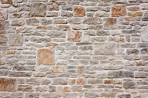 AOFOTO 9x6ft Stone Wall Backdrop Vintage Rock Stone Textured Photography Background Medieval Vineyard Old Castle Cobblestone Brick Wall Birthday Party Scene Setters Decoration Photo Booth Props - size: 9x6ft