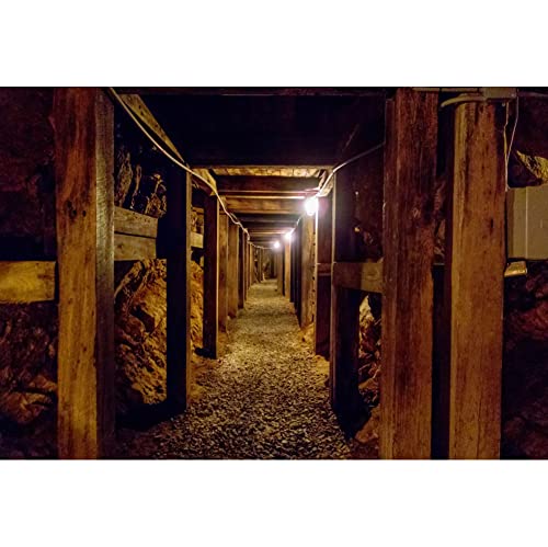 YongFoto 8x6ft Tunnel Construction Backdrop Underground Passage Industry Mine Vintage Wall Old Mountain Cave Photography Background Girls Boys Children Adults Artistic Portrait Photo Props Polyester - size: 8x6ftpolyester