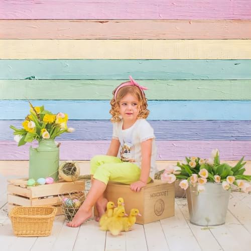 Colorful Wood Backdrop for Photography 8x6ft Easter Pastel Rustic Texture Background Easter Theme Party Backdrop Kids Adult Baby Shower Birthday Party Decorations Photo Props (96x72 inch) - size: 8x6FT: 96x72 inch