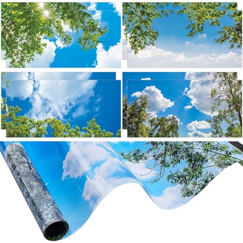 Amylove 8 Pcs 4 x 2 Feet Backlit Film Material Fluorescent Light Covers Classroom Filters Ceiling Light Covers Panels Florescent Diffuser(Blue Sky, Leaves) - color: Blue Sky, Leaves