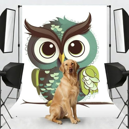 Cartoon Green Cute Owl Backdrop Background for Photography 5x7ft Photobooth Professional Photo Backdrop Curtains Video Photography Studio Photo Backgrounds Banner Booth Background Screen Parties - color: Cartoon Green Cute Owl