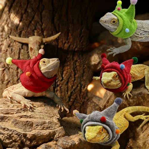 Reptile Outdoor Walking Costume - Adjustable Funny Horn Ball Hat & Scarf Set, Pet Outdoor Walking Funny Outfit for Small Pets Lizard Gecko Chameleon Amphibians Ferret Hamster-Red - color: Hat&Scarf-Red