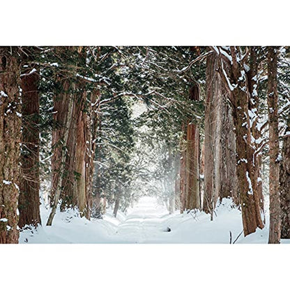 Yeele 5x4ft Forest Backdrop for Photo Props Winter Theme Snow Nature Landscape Vinyl Photography Background Snow Covered Road Background for Photo Props Holiday Supplies Wallpaper - size: 5x4ft
