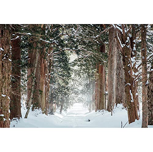Yeele 6x4ft Forest Backdrop for Photo Props Winter Theme Snow Nature Landscape Vinyl Photography Background Snow Covered Road Background for Photo Props Holiday Supplies Wallpaper - size: 6x4ft