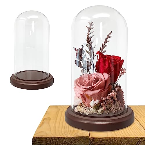 BANBERRY DESIGNS Clear Glass Display Dome with Wooden Base – 7" H x 3.75" W Cloche Bell Jar – 5" Base – Decorative Cover for Figurines, Dolls, Collectibles, Jewelry & Crafts Display Case
