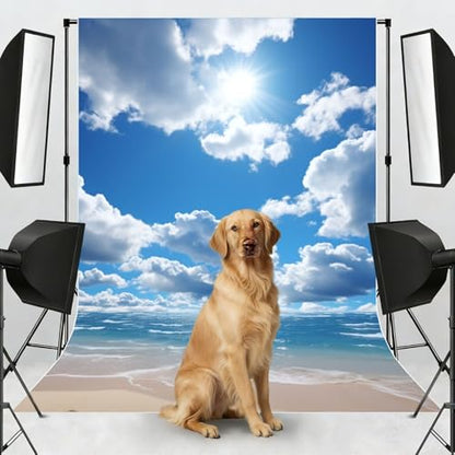 Blue Sky and White Cloud Backdrop Background for Photography 5x7ft Photobooth Professional Photo Backdrop Curtains Video Photography Studio Photo Backgrounds Banner Booth Background Screen Parties - color: Blue Sky And White Cloud