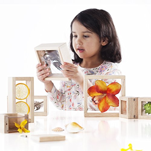 Guidecraft Treasure Blocks - Clear: Smooth Wooden Observation Stacking Blocks with Transparent Windows, Educational Toy for Kids - style: Clear