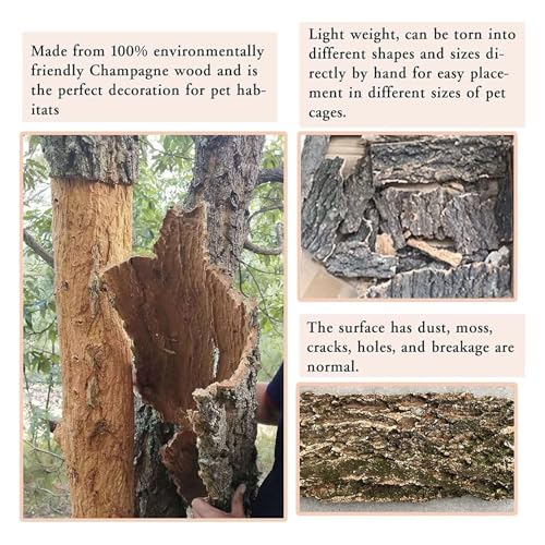 Hamiledyi 2PCS Cork Terrarium Background 15.7x11.8in Natural Cork Large Bark Backdrop Reptile Climbing Mat Habitat Decor for Spider Lizard Chamelon Turtle Beared Dragon - size: 2PCS-15.7x11.8in