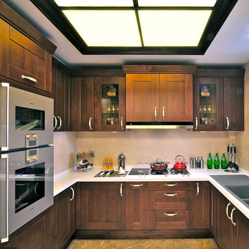 Pushglossy 4 Pack 22.5" x 22.5" x 0.08" Frosted Fluorescent Light Diffuser Panels, Translucent Polystyrene Sheet Replacement for 2x2ft Drop Ceiling Lights for Classroom Office Home - size: 22.5" X 22.5" X 0.08"