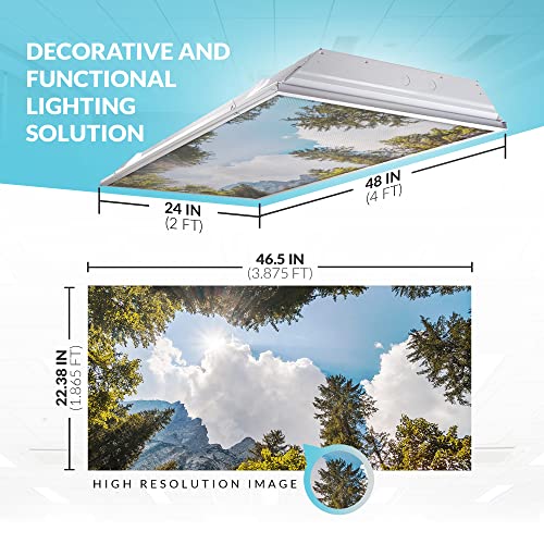 OCTO LIGHTS Fluorescent Light Decorative Covers for Classroom Ceiling Lights - 2x4 (22.38in X 46.5in) - Improves Focus, Eliminates Headaches, Provides Relief from Harsh Florescent Lights - Tree 009 - color: Tree Mountain Sky, size: 1pk