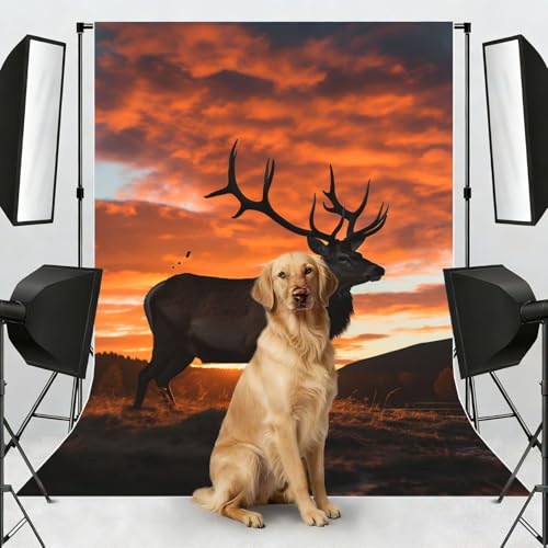 Red Deer Bull Elk Sunset Backdrop Background for Photography 5x7ft Photobooth Professional Photo Backdrop Curtains Video Photography Studio Photo Backgrounds Banner Booth Background Screen Parties - color: Red Deer Bull Elk Sunset