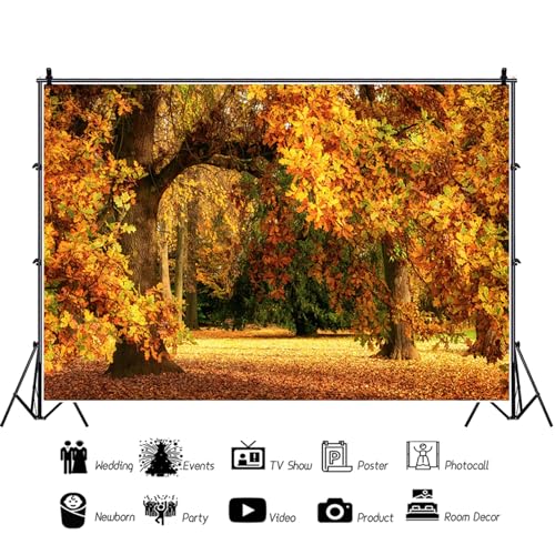 9x6ft Fall Forest Backdrop Fall Leaves Autumn Tree Nature Park Scenery Photography Background Fall Family Wedding Party Outdoor Decorations Supplies Photo Booth Props - size: 9x6ft
