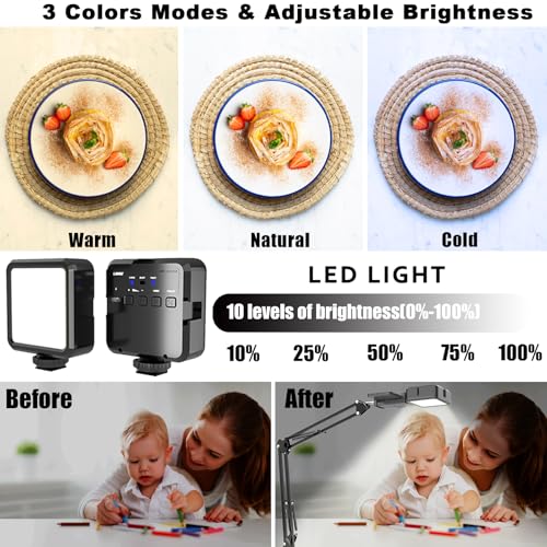 Overhead Phone Mount, Articulating Arm Cell Phone Holder with LED Light, Flexible Phone Stand for Live Streaming, Video Recording, Painting Lighting, Cooking