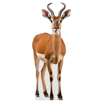 Deer - Life Size Cardboard Cutout Standup People with Support Standee | Animals - - color: Deer