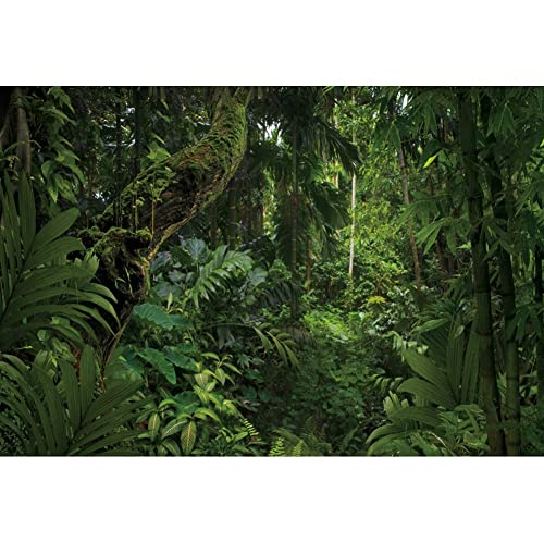 12x10ft Jungle Forest Photography Backdrop for Outdoorsy Camping Theme Party Background Spring Mysterious Rainforest Jungle Forest Tree Natural Scenery Kids Adult Wedding Photo Studio Props - size: 12x10ft