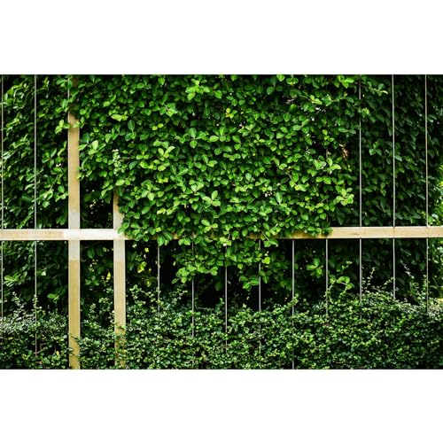 Green Leaves Photography Backdrops Green Grass Metal Cage Wall Background Nature Greenery Backdrop Seamless Birthday Wedding Safari Baby Shower Party Decors Banner Portrait Photo Vinyl 5x3ft - color: Plant Green, size: 5x3ft