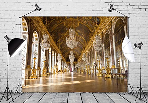 BELECO 9x6ft Fabric Royal Palace of Versailles Backdrop The Hall of Mirrors France Mirror Gallery Backdrop Luxury Chandelier Sculpture Ceiling Mural Birthday Wedding Photoshoot Portrait Photo Props - size: 9x6FT