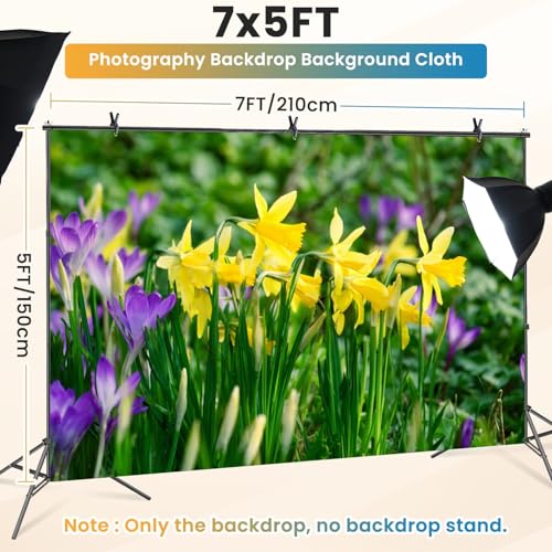 5x7ft Photography Backdrop Springtime Bunch Wild Yellow Daffodil Narcissus pseudonarcissus Photo Backdrop Photography Background for Photoshoot Portrait Video Party Photo Studio Prop Booth - color: Color2