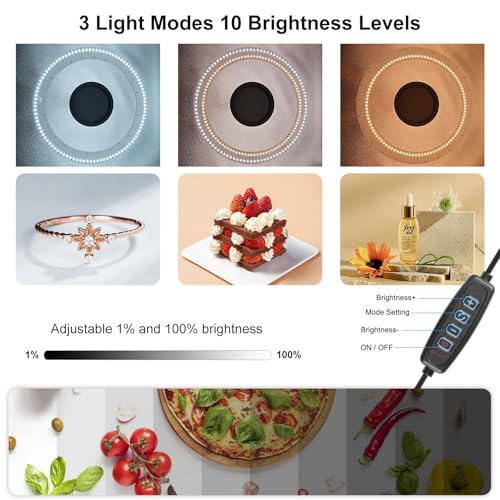 Light Box Photography 20x20in, PULUZ Portable Photo Studio Light Box with 200 LED Lights ＆12 Color backdrops Professional Photography Lighting Tent Kit for Big Product Photography Lightbox - color: 19.7x19.7x19.7in